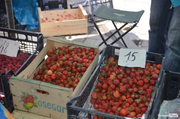 Ягідно-овочевий сезон: які ціни на луцькому базарі