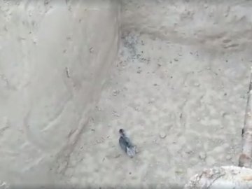 «Вранці тут знайшовся котик, а міг бути хтось інший»: у Луцьку не обгородили глибоку яму