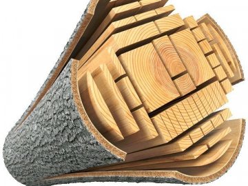 Пиломатеріали та погонажні вироби з дерева від виробника*