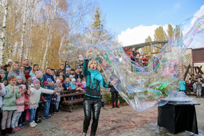 У Луцькому зоопарку відгуляли свято гарбуза: як це було. ФОТО