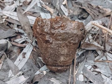 На Волині знайшли вибухонебезпечний предмет 