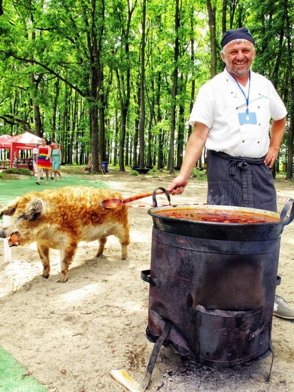 Волинян запрошують оздоровитися та скуштувати бограч*