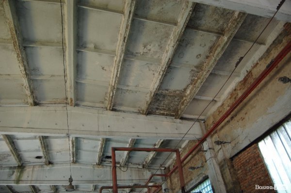 Новий директор про зміни на Луцькому підприємстві електротранспорту. ФОТО