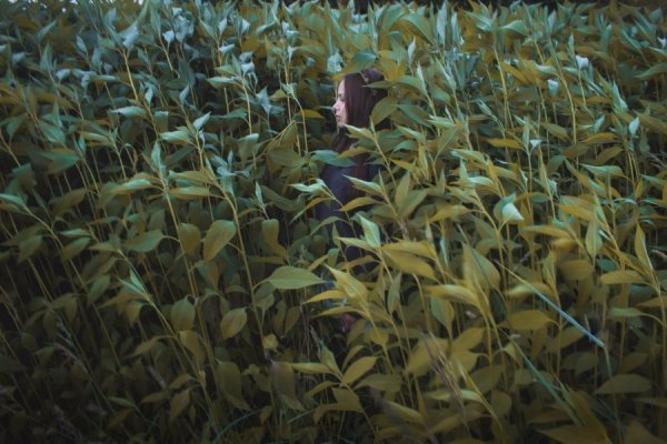 Фотовиставка Анастасії Кольченко