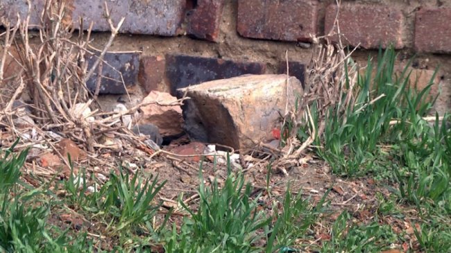 Зі стіни Луцького замку падає цегла: територію огородили. ФОТО