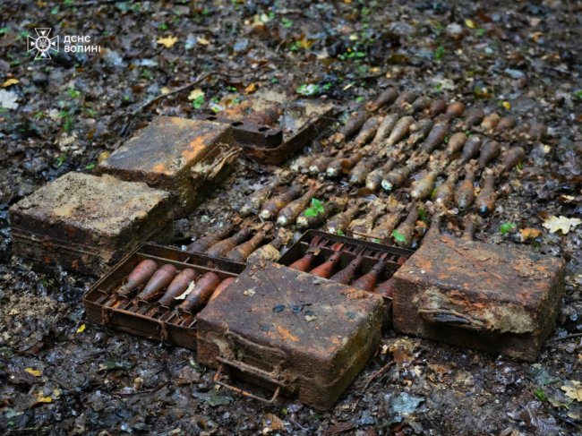 На Волині сапери знищили 96 боєприпасів Другої світової війни