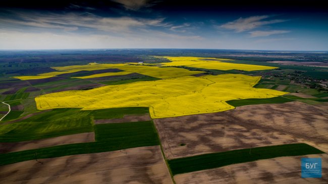 Різнобарвні краєвиди Волині з висоти пташиного польоту. ФОТО. ВІДЕО