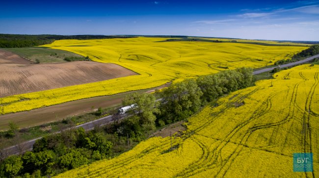 Різнобарвні краєвиди Волині з висоти пташиного польоту. ФОТО. ВІДЕО