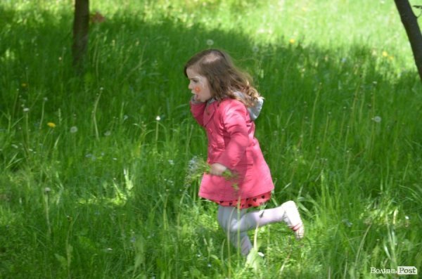 У Луцьку пройшов День Європи. ФОТО