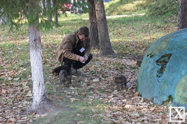 Як проходять навчальні будні майбутніх поліцейських Луцька. ФОТО