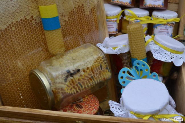 Від мініатюрних тістечок до величезних гойдалок: у центрі Луцька – свято професійної освіти. ФОТО