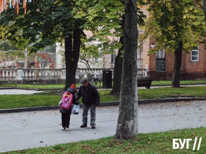 Люди збирають просто на вулицях: у місті на Волині розпочався каштановий сезон