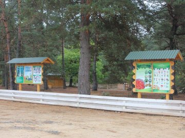 Вандалізм у дії: волинянин крав деревину на рекреаційному пункті