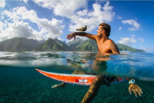 Кращі знімки National Geographic за серпень. ФОТО
