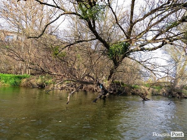 Водна експедиція: як виглядає Луцьк зі Стиру. ФОТО