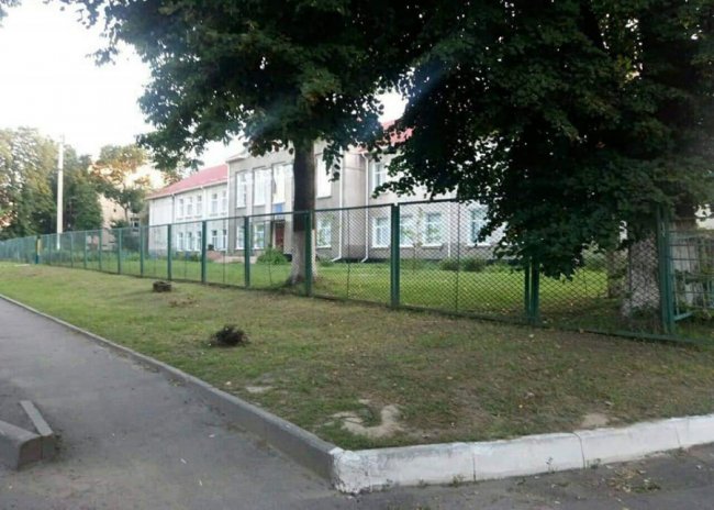 Луцькі муніципали змусили нечупар скосити траву