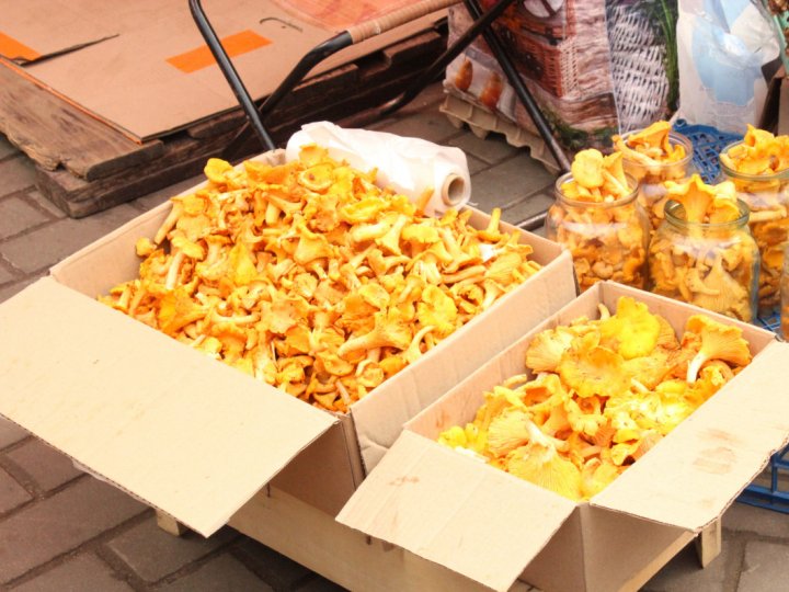 У Луцьку на ринках продають лисички: яка ціна