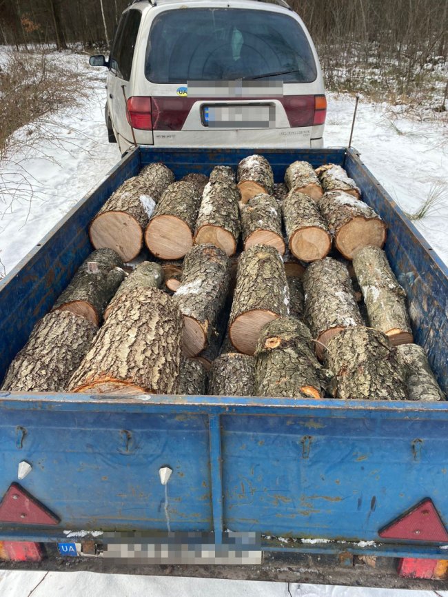 Затримали волинян, які незаконно вирубували дерева у прикордонні. ФОТО