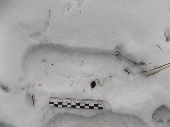 На Одещині вандали влаштували гулянку в склепі. ФОТО