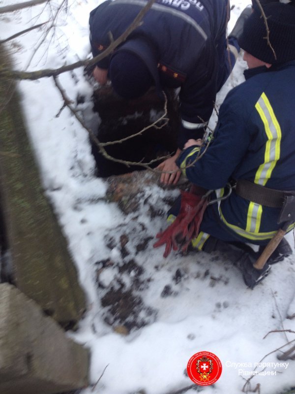 На Рівненщині жінка впала у вигрібну яму, ледве врятували