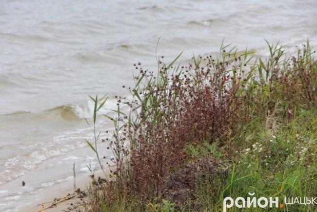 Холодний та грізний Люцимер: фото волинського озера