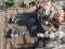 На Миколаївщині вандал розтрощив більше 100 могил. ФОТО