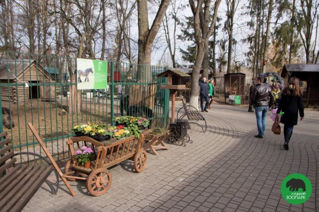 Квіти, усмішки і діти: як минуло 8 березня у Луцькому зоопарку. ФОТО