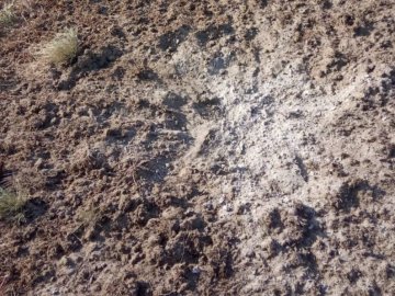 Росія обстріляла прикордоння Сумщини: є загиблий і поранена 