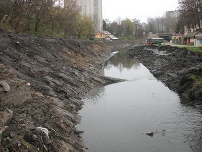 Сапалаївку прибирали 150 лучан. ФОТО