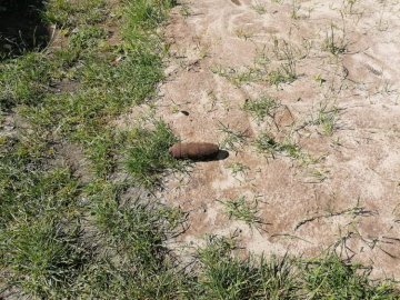 У лісі на Волині грибник натрапив на небезпечну знахідку