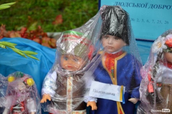 У Луцьку  - квіткова виставка до Дня Незалежності. ФОТО