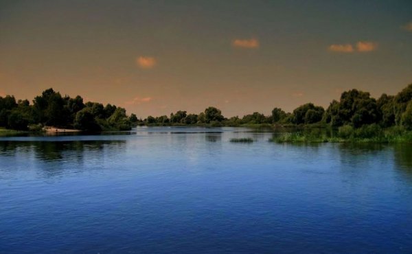 Лісова пісня озерного Полісся. ФОТО