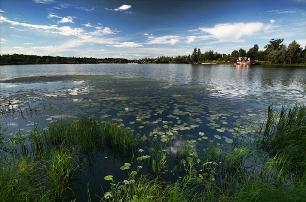 Лісова пісня озерного Полісся. ФОТО