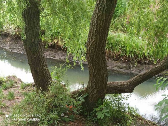 Різко впав рівень води: вандали пошкодили гідроспоруду у Луцьку. ФОТО