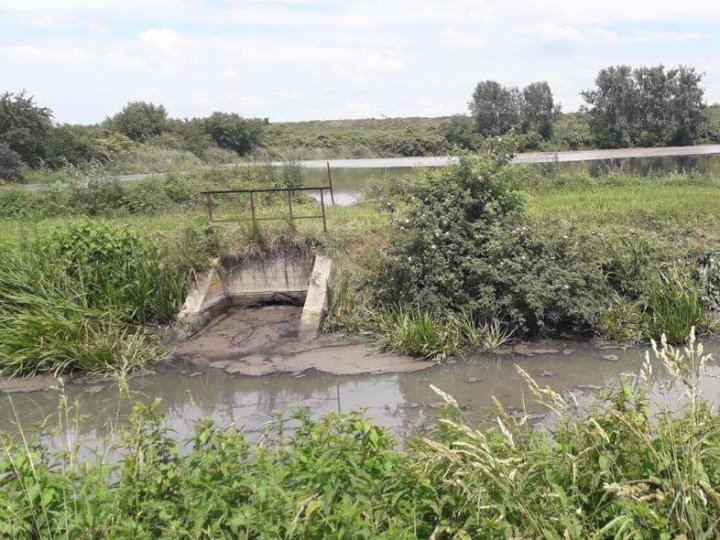 Апеляція майже у 13 разів зменшила стягнення з Луцькводоканалу за загибель риби