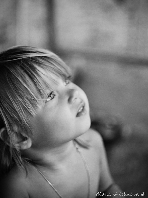 Фотовиставка Діани Шишкової-Морозюк