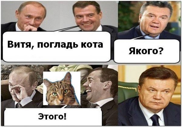 Бабуся і кіт: фотожабоманія триває. ФОТО