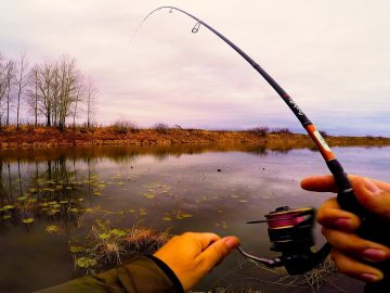 З 1 листопада на Волині забороняють вилов риби у зимувальних ямах