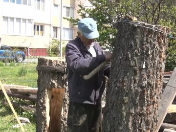 На Волині бджолярі беруться відроджувати бортництво: майструють хатинки для бджіл. ВІДЕО