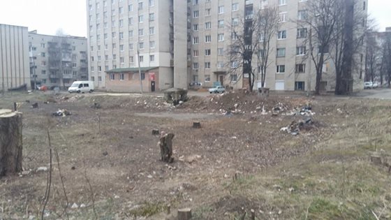 Власника розважального центру в Луцьку зобов'язали прибрати прибудинкову територію. ФОТО