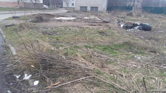 Власника розважального центру в Луцьку зобов'язали прибрати прибудинкову територію. ФОТО