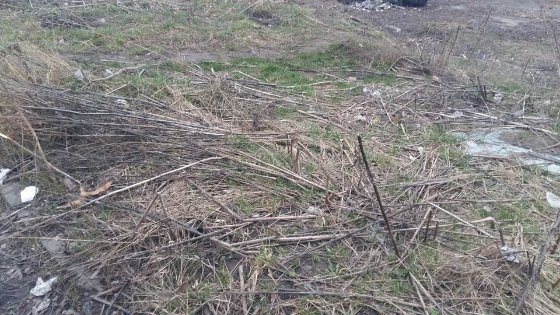 Власника розважального центру в Луцьку зобов'язали прибрати прибудинкову територію. ФОТО