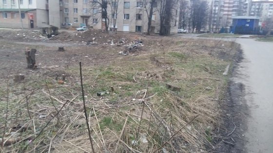 Власника розважального центру в Луцьку зобов'язали прибрати прибудинкову територію. ФОТО