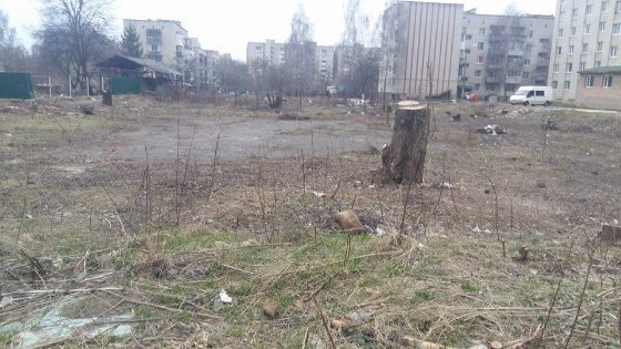 Власника розважального центру в Луцьку зобов'язали прибрати прибудинкову територію. ФОТО