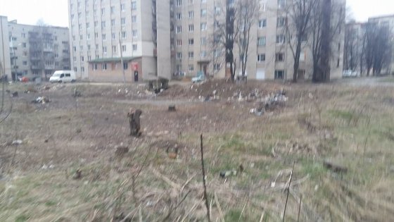 Власника розважального центру в Луцьку зобов'язали прибрати прибудинкову територію. ФОТО