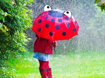 Погода на завтра, 10 червня, у Луцьку та Волинській області