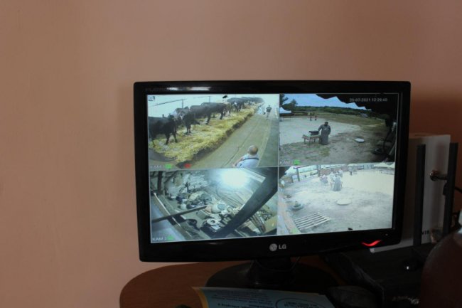 У волинській громаді відкрили сімейну молочну ферму «Папики». ФОТО