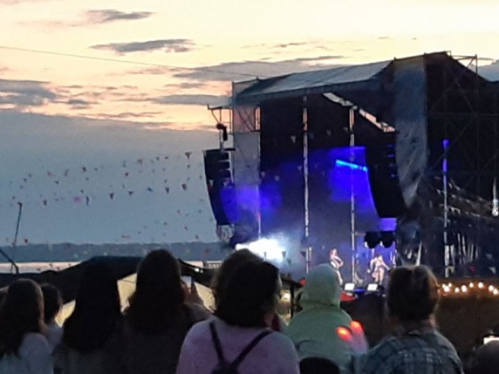 На Волині чоловік на концерті покусав поліцейського: яке покарання отримав