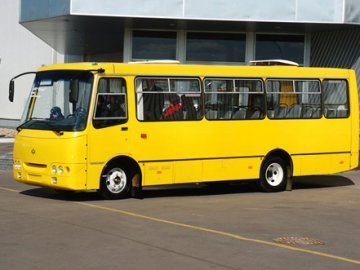 У мерії Луцька відповіли на петицію щодо подорожчання проїзду в маршрутках