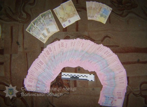 На Волині затримали злодіїв-гастролерів 